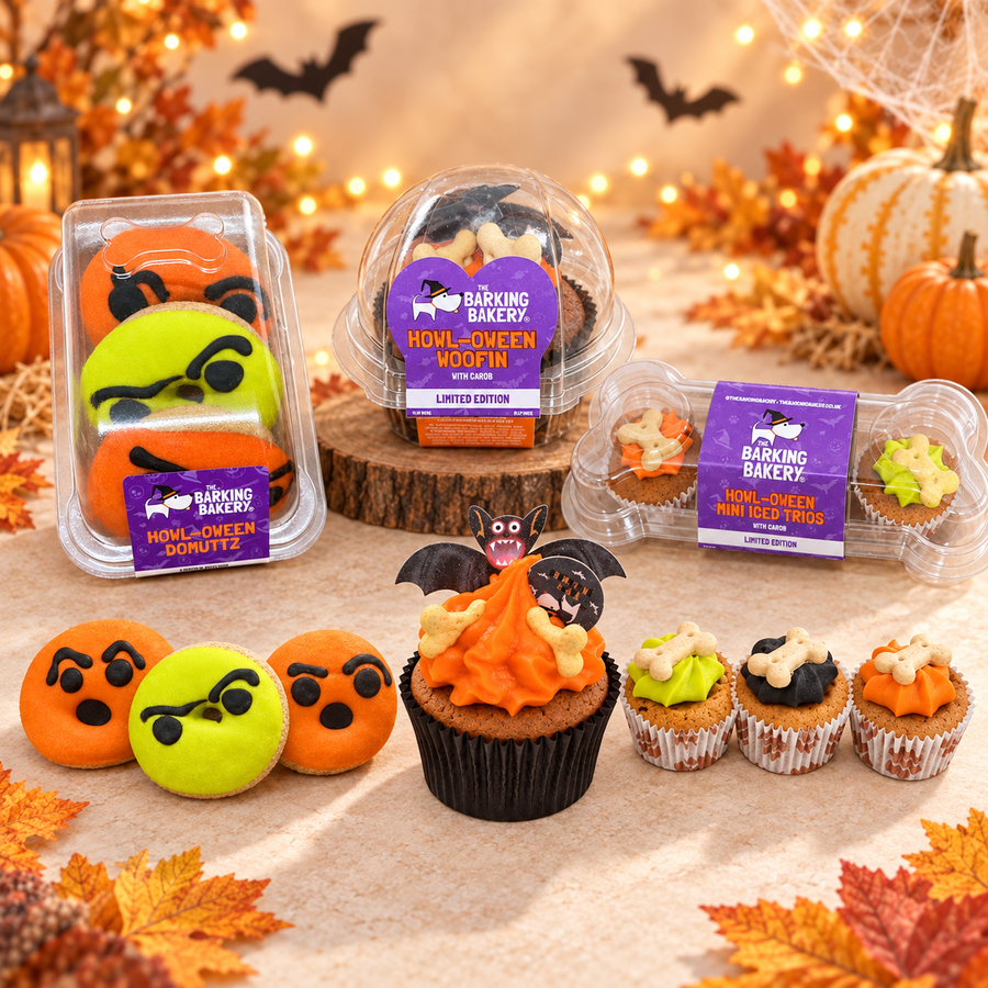 Halloween has arrived