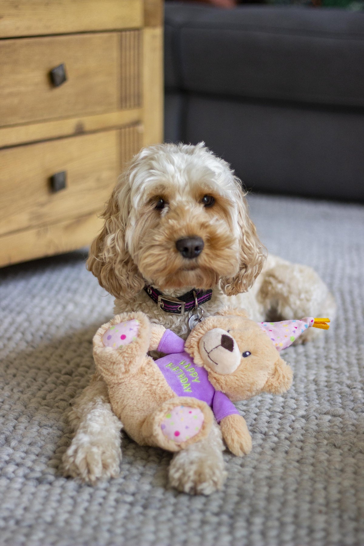 Bonnie Birthday Bear