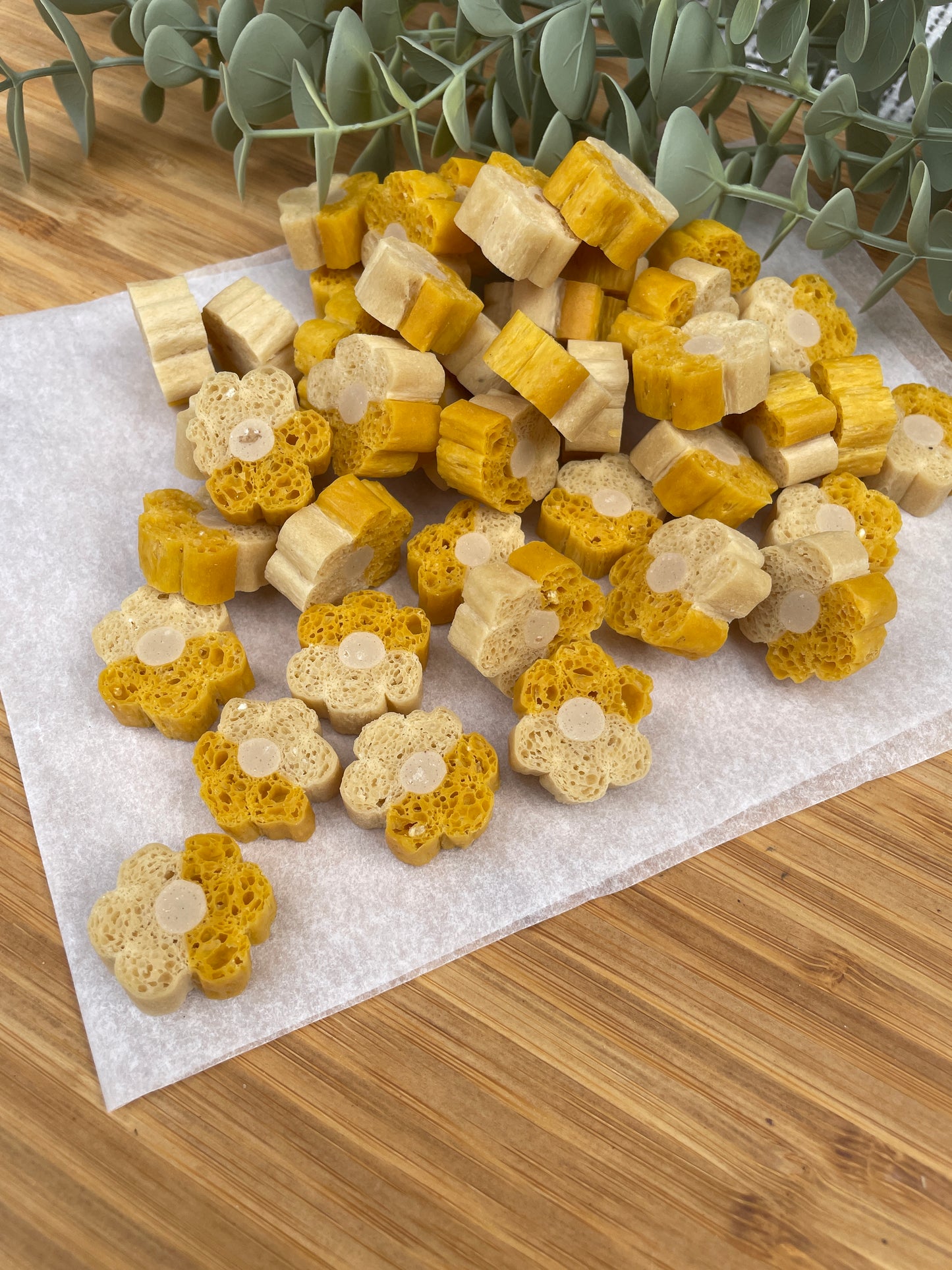 Pumpkin Dental & Digestive Bites