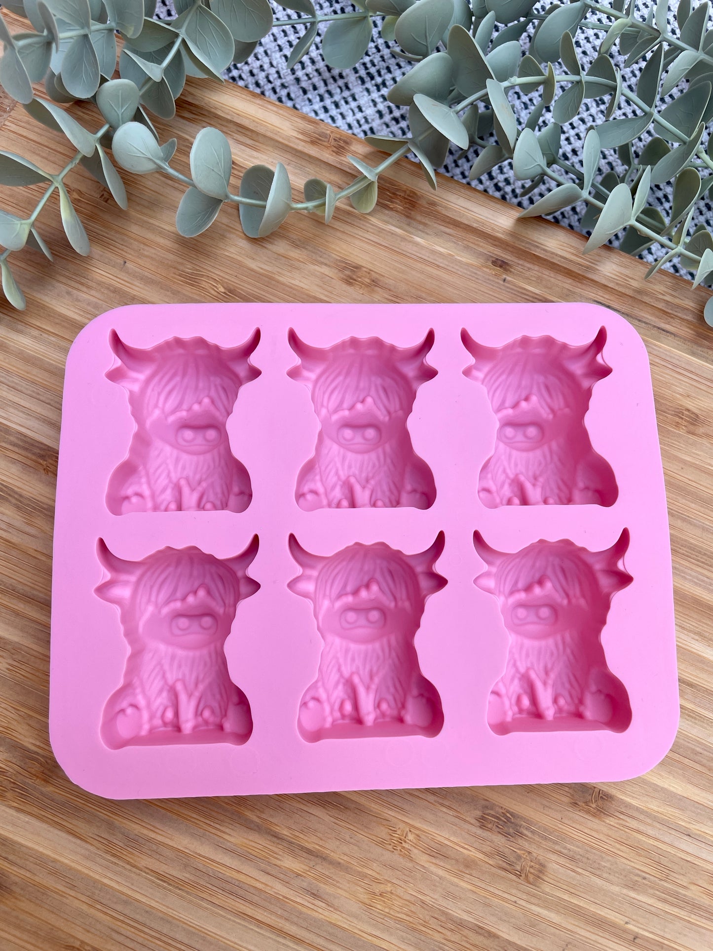 Highland Cow Enrichment Mould