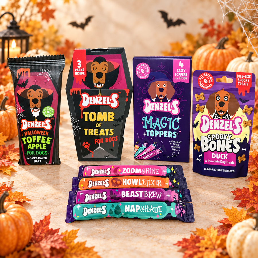 Halloween has arrived