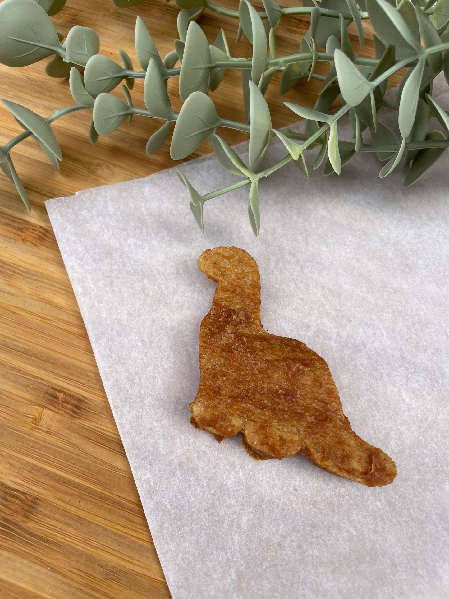 Duck Dinosaurs