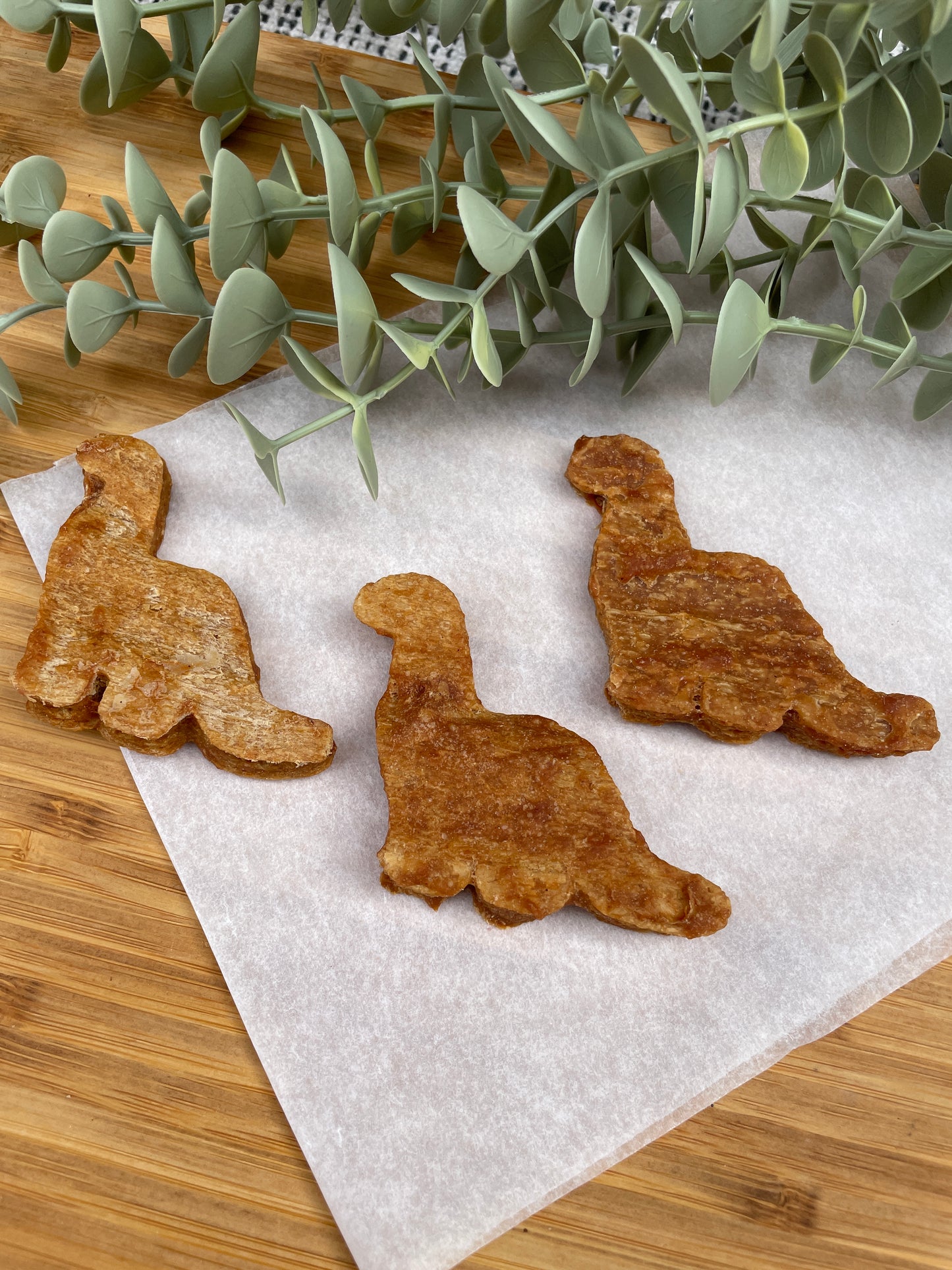 Duck Dinosaurs