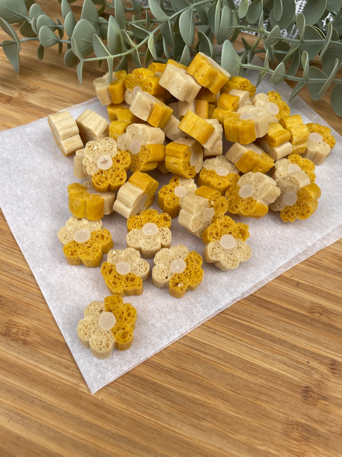 Pumpkin Dental & Digestive Bites