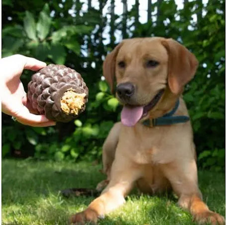 Orva Pine Cone Treat Toy