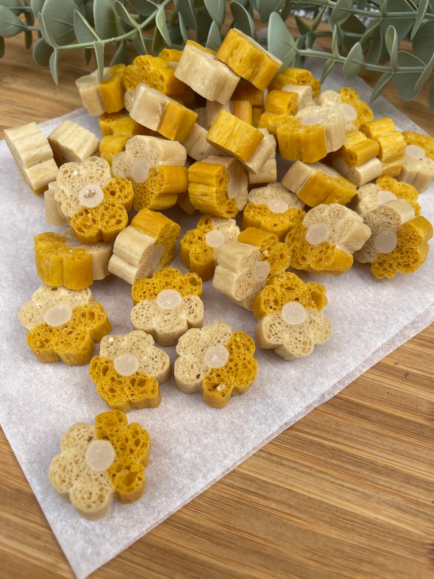 Pumpkin Dental & Digestive Bites