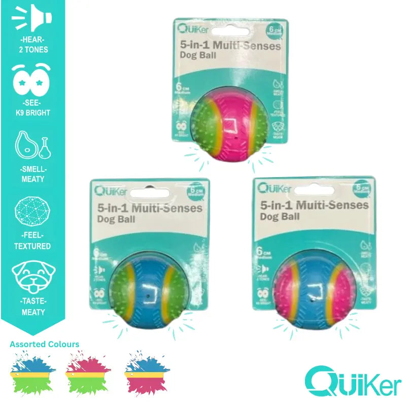Sensory Dog Ball – Engaging Textures, Sounds & Scents for Smart Play