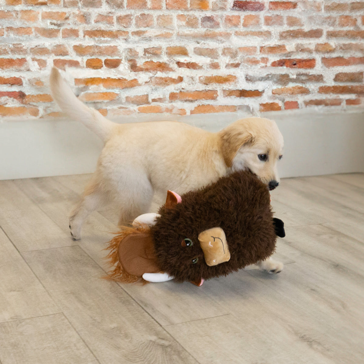 KONG Comfort Jumbo Highland Cow XL
