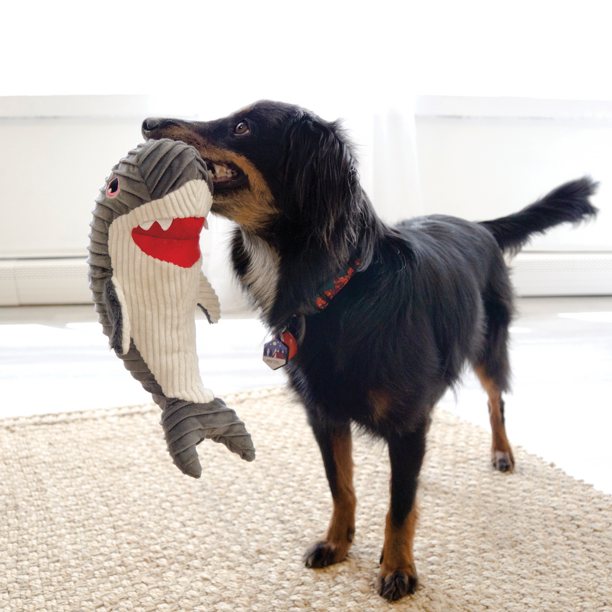 KONG Cuteseas Rufflez Shark Medium/Large