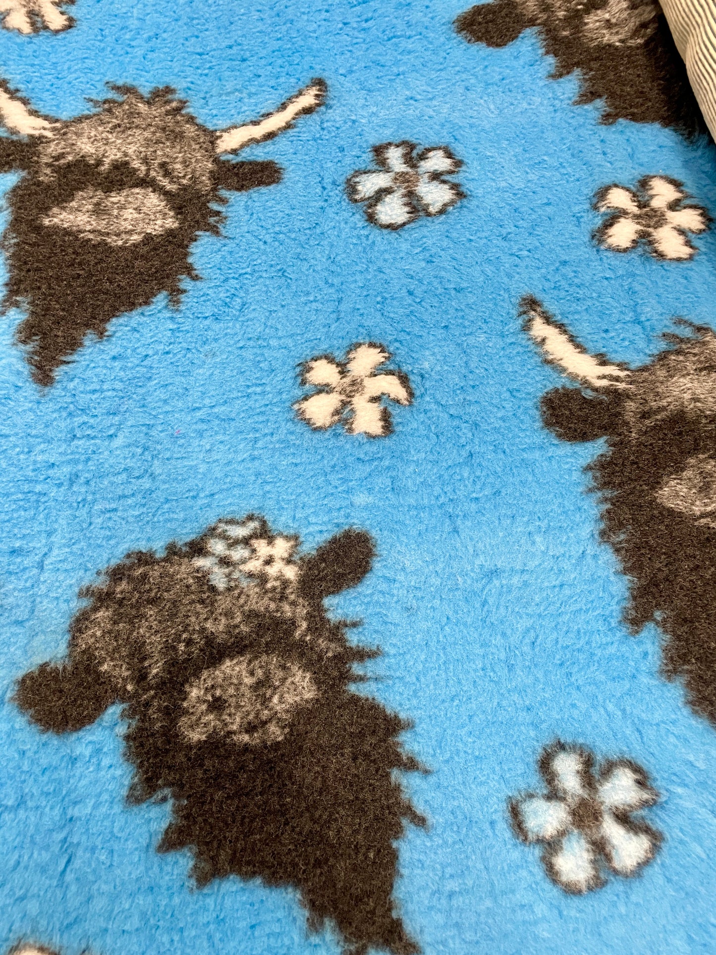 Blue vet bedding with Highland cow design for dogs close up