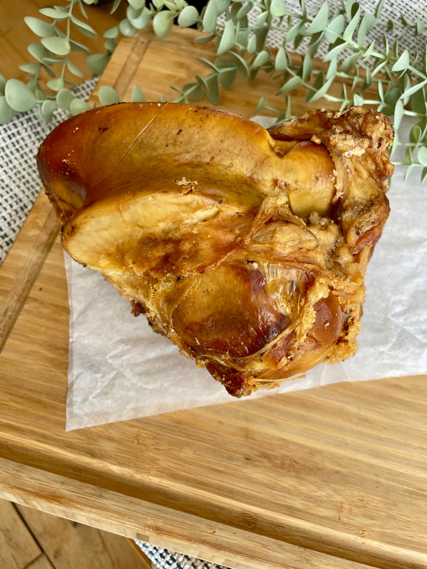 Large Roasted Beef Bone