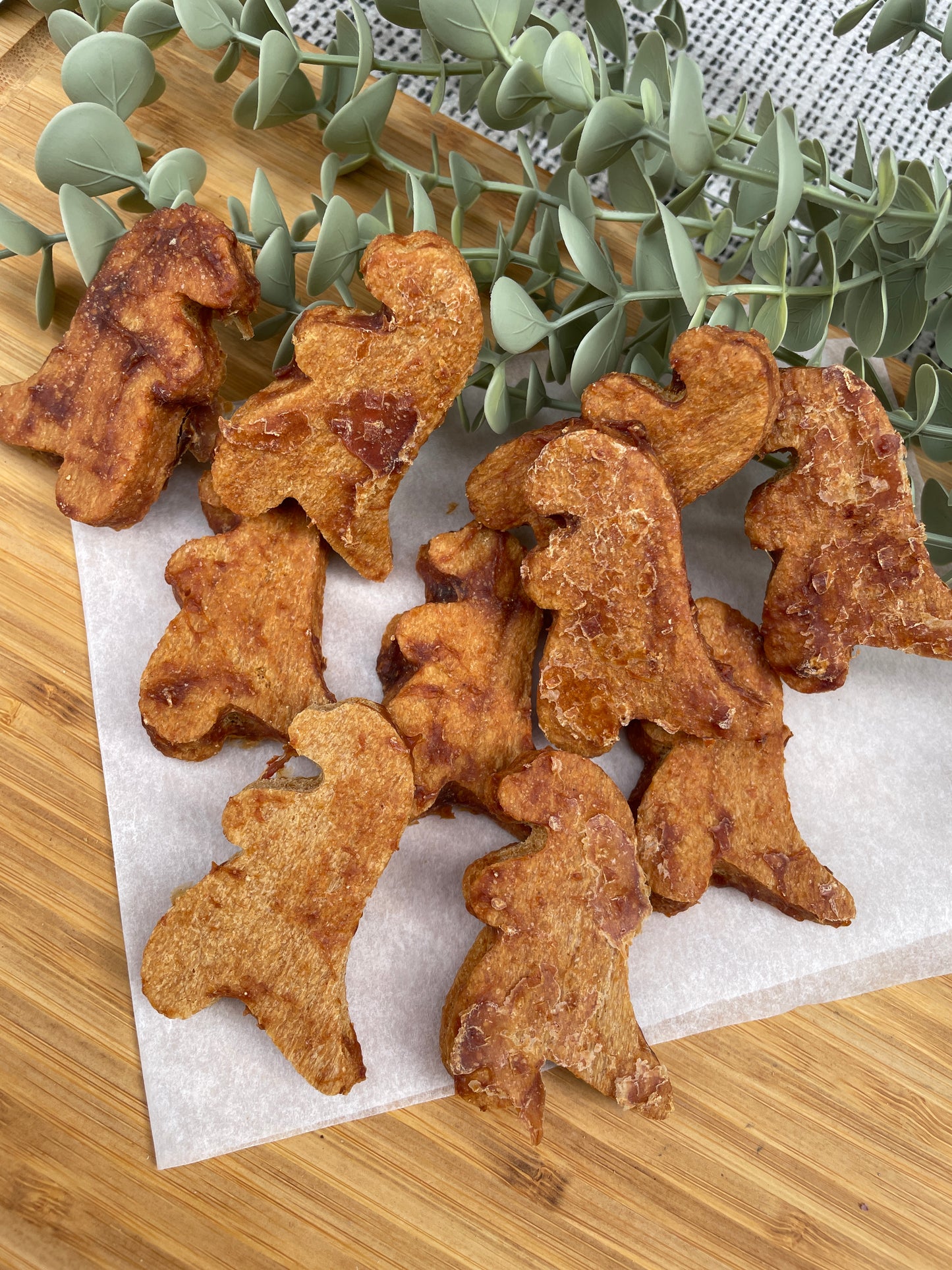 Chicken Dinosaurs