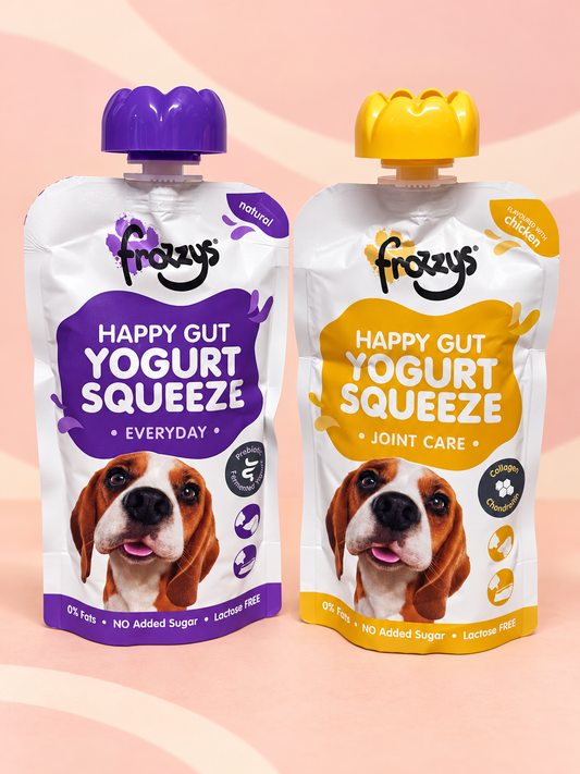 Frozzys Happy Gut Yoghurt Squeeze for Dogs – Everyday & Chicken Joint Care
