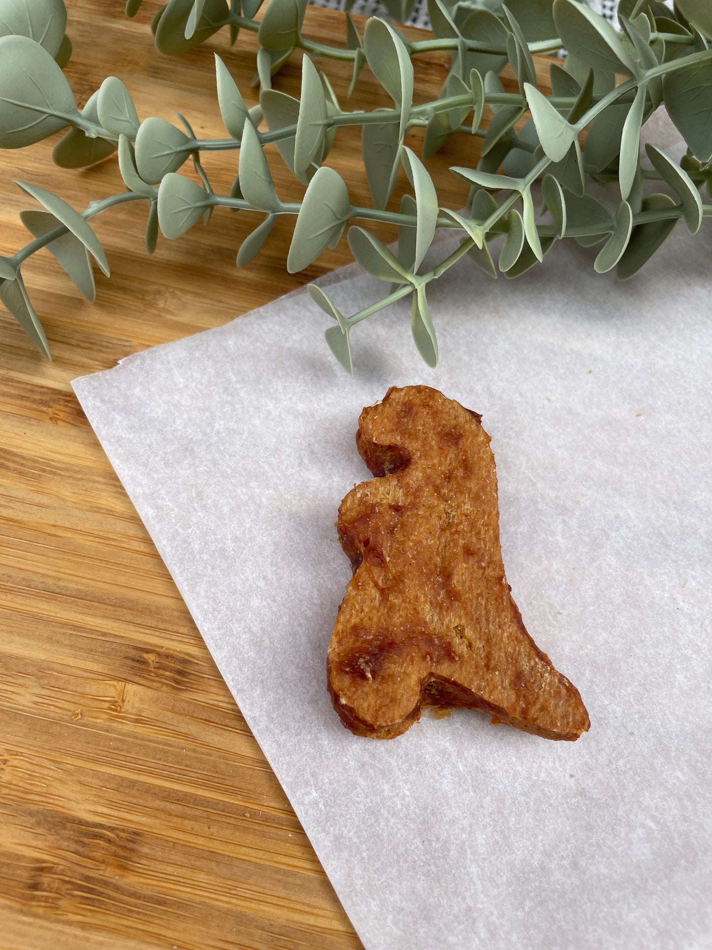 Chicken Dinosaurs