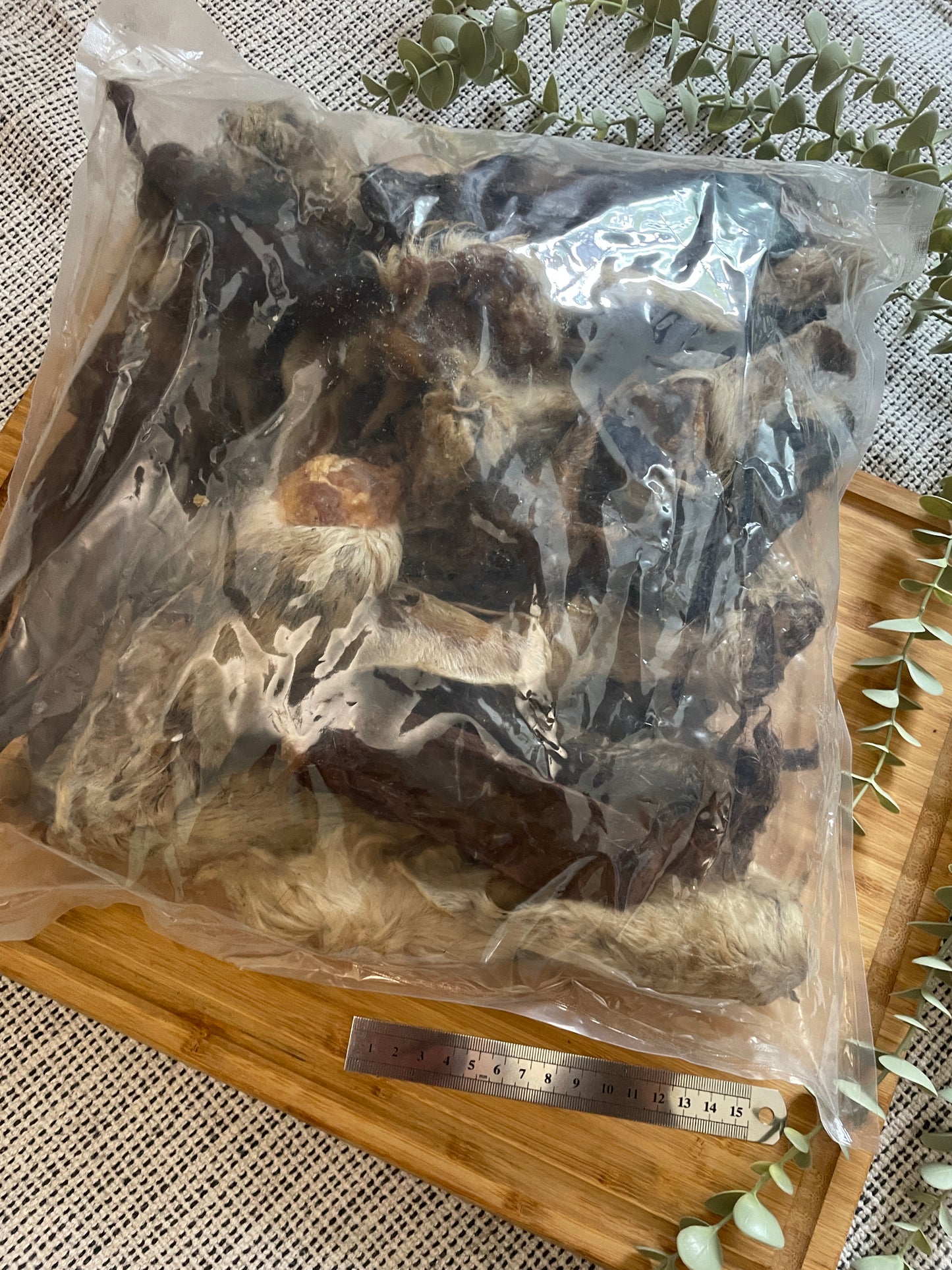 Hairy Lamb Ears