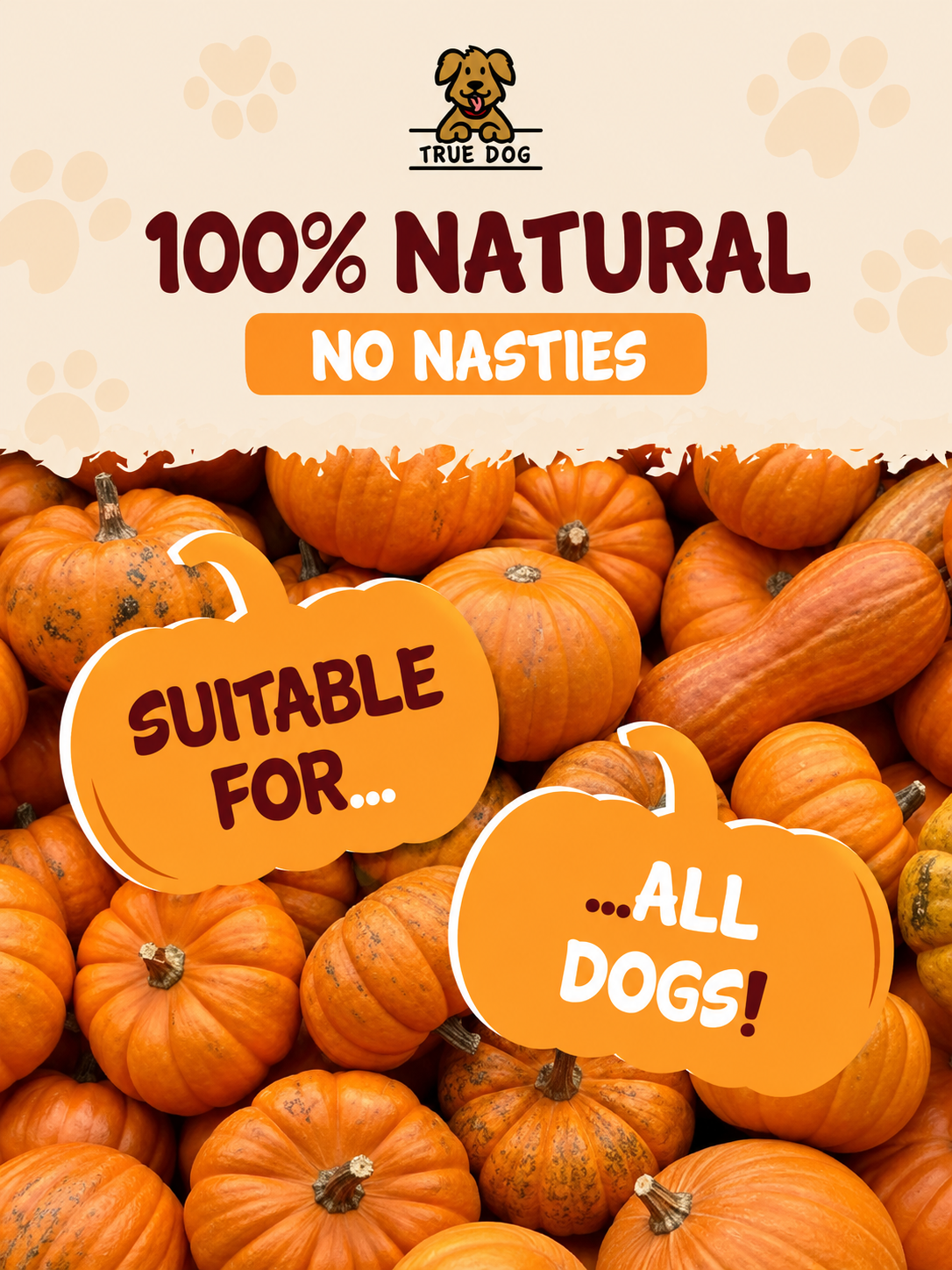 True Dog Pumpkin Powder – Digestive Support Food Topper for Dogs & Cats