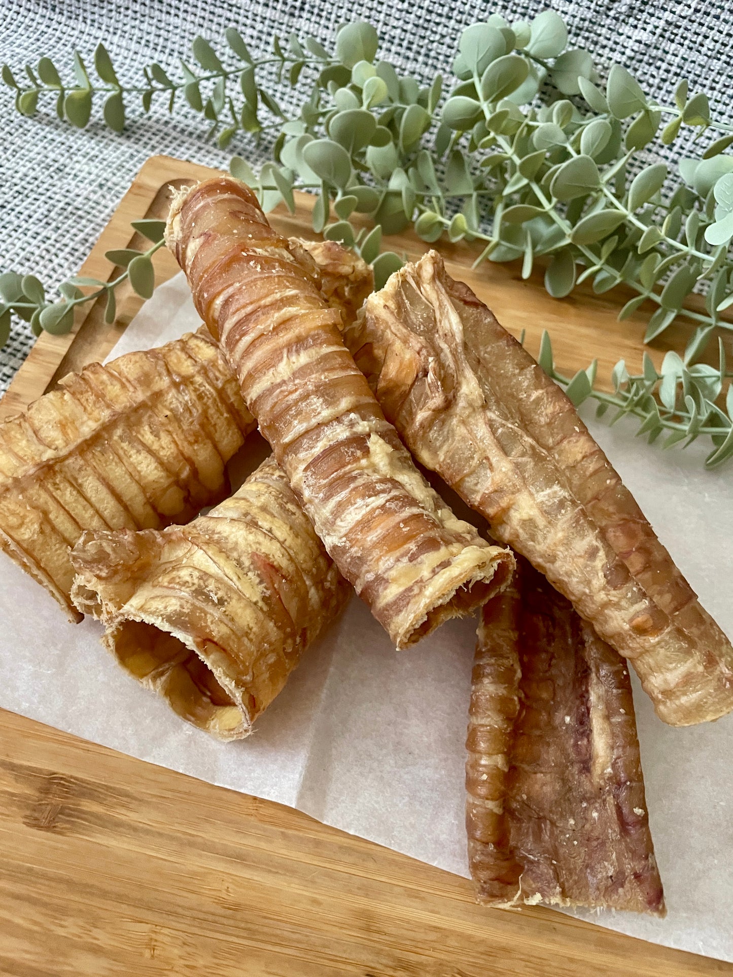 Buffalo Trachea