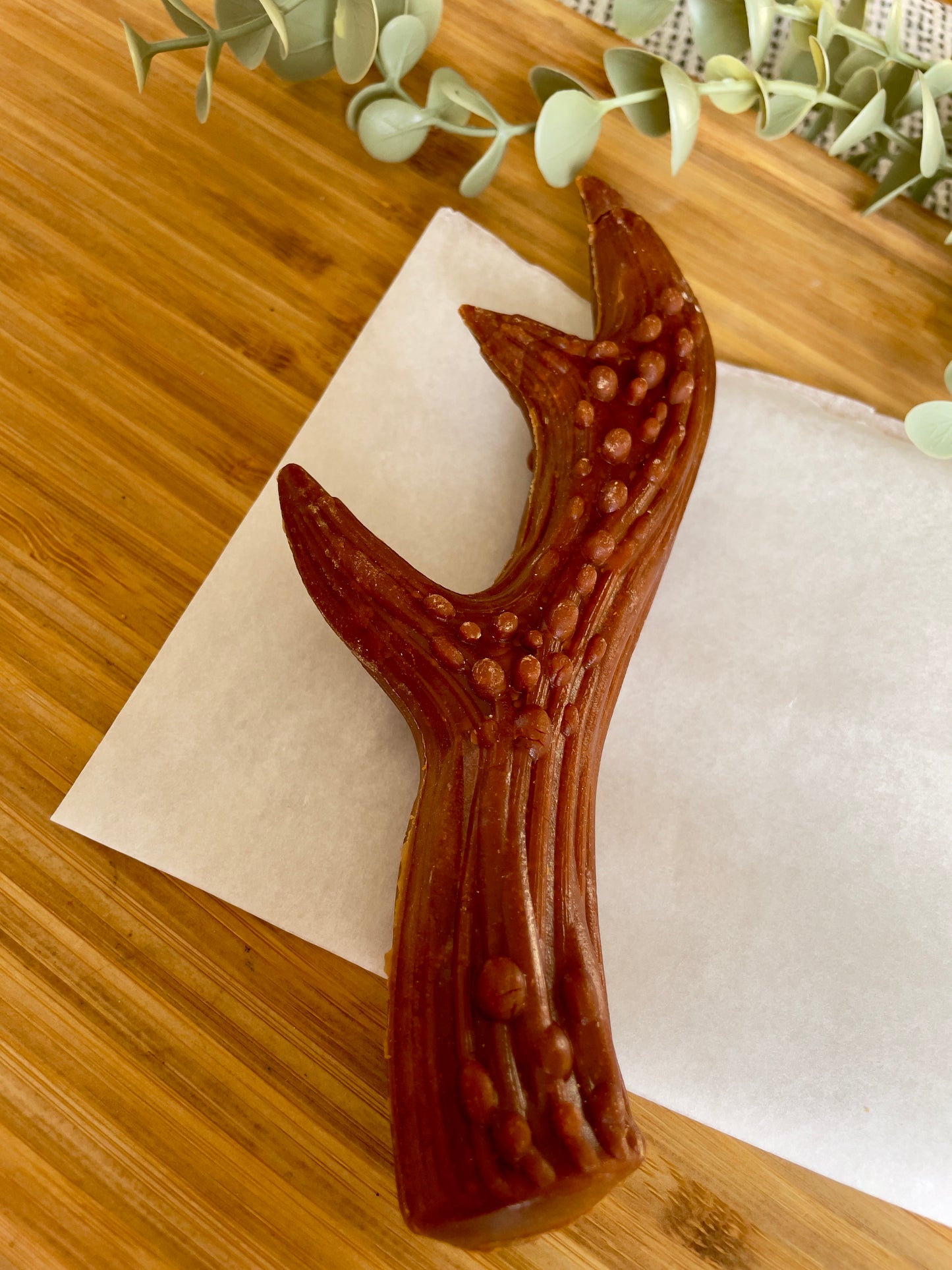 Vegetarian Antlers – Long-Lasting Vegan Chews for Large Dogs