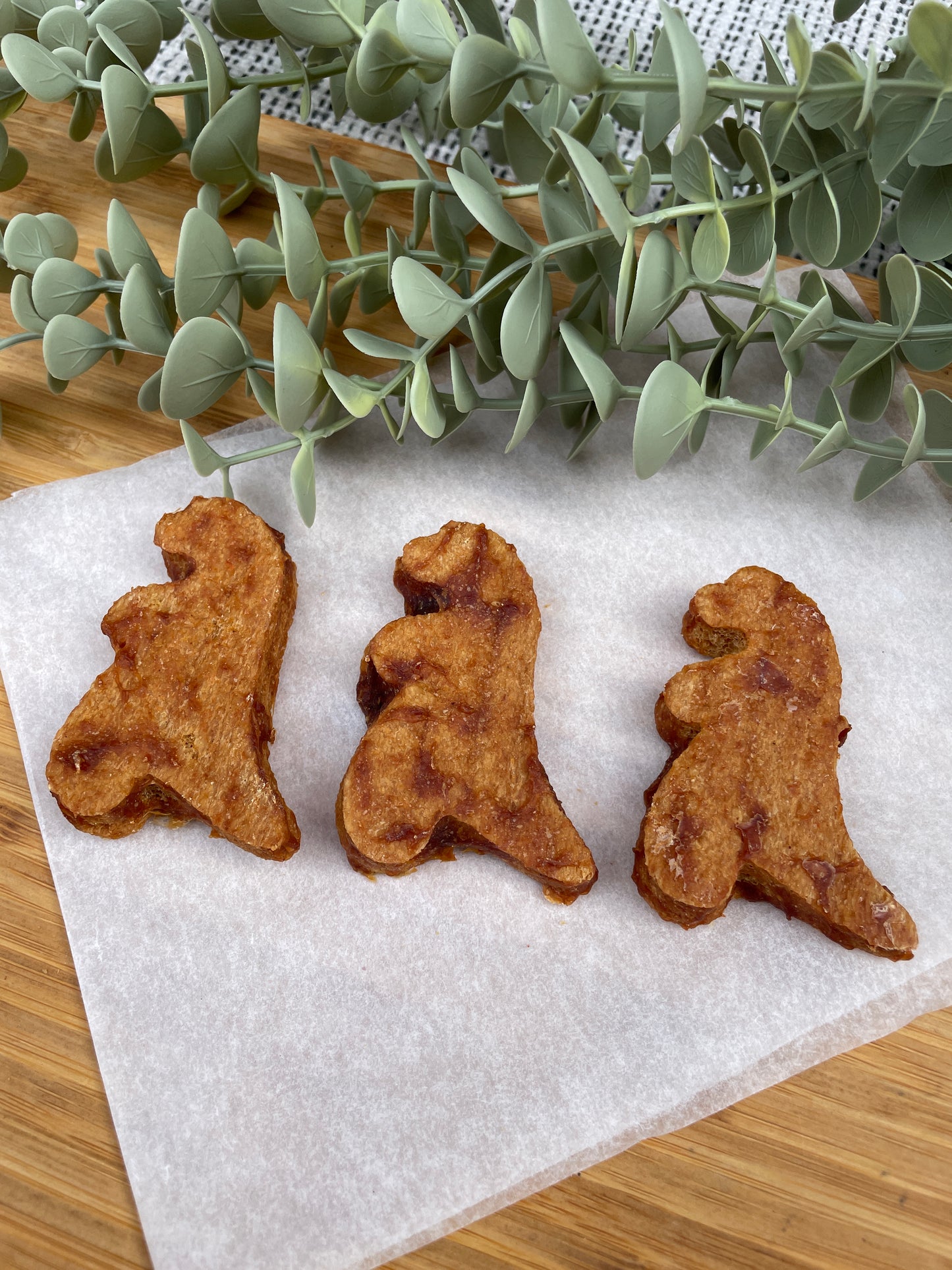 Chicken Dinosaurs
