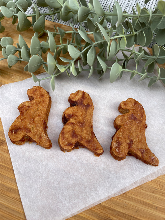 Chicken Dinosaurs