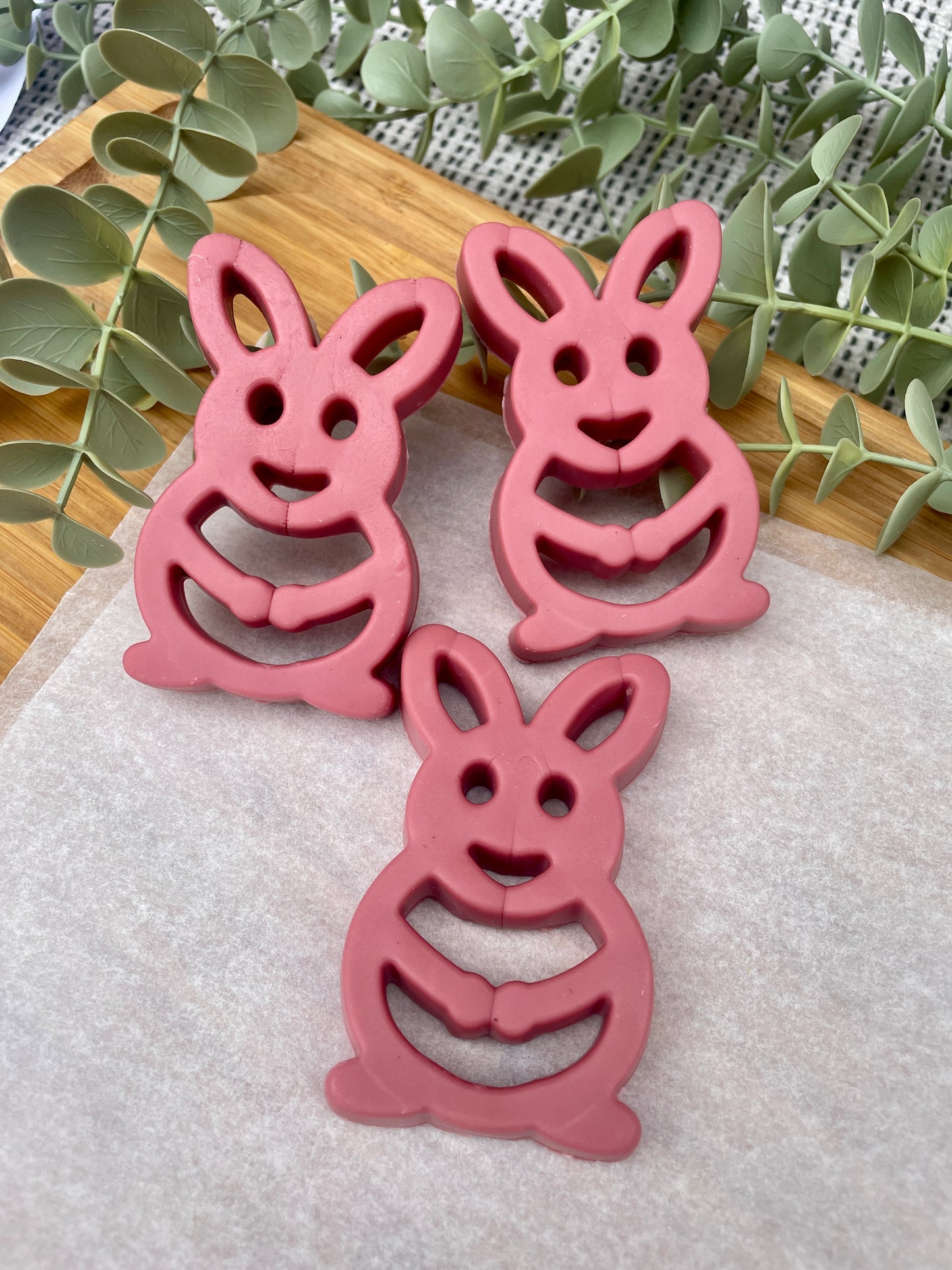 Chicken & Cranberry Pink Rabbit Dental Chew