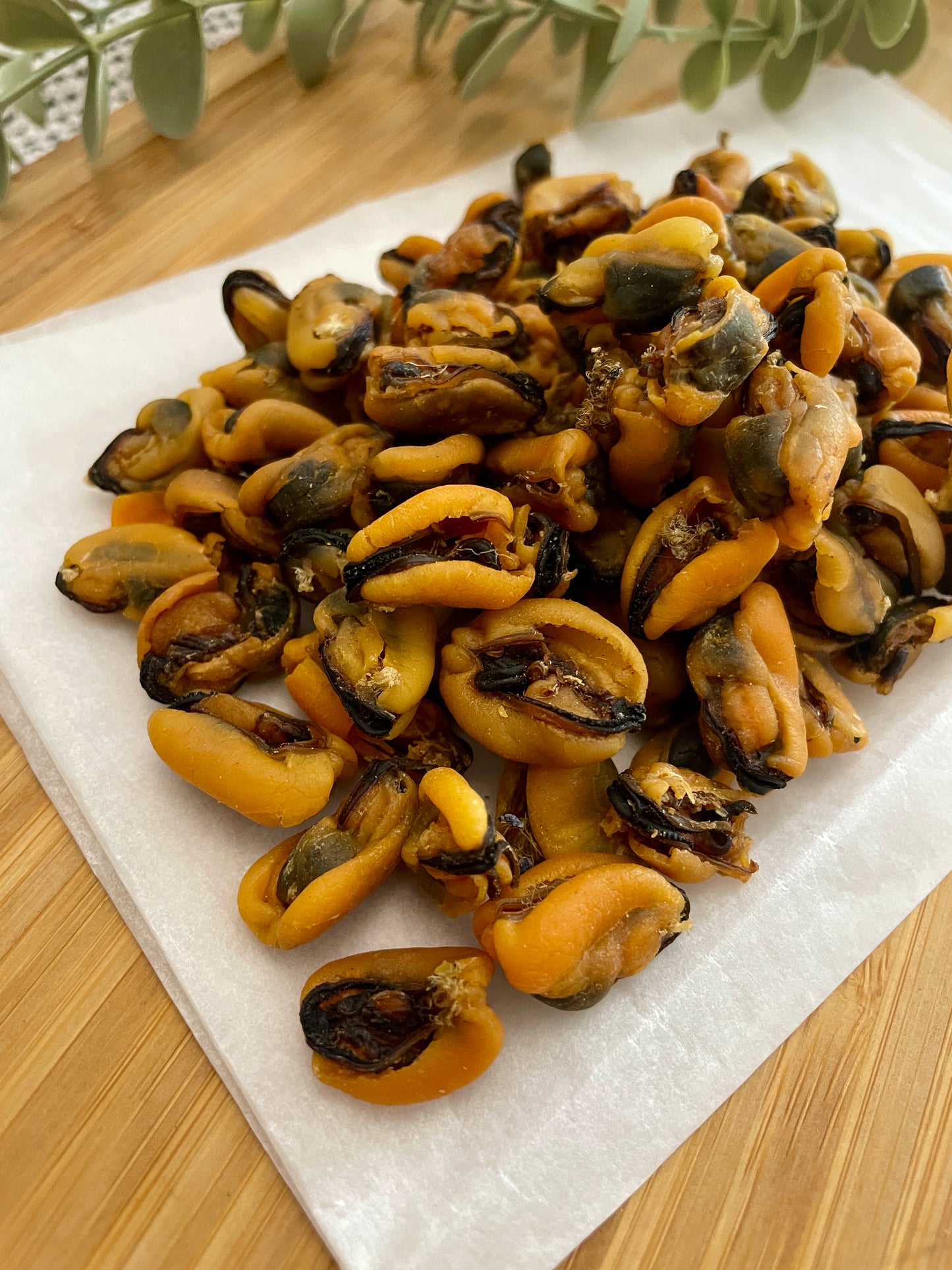 Green Lipped Mussels Dried– 100g.