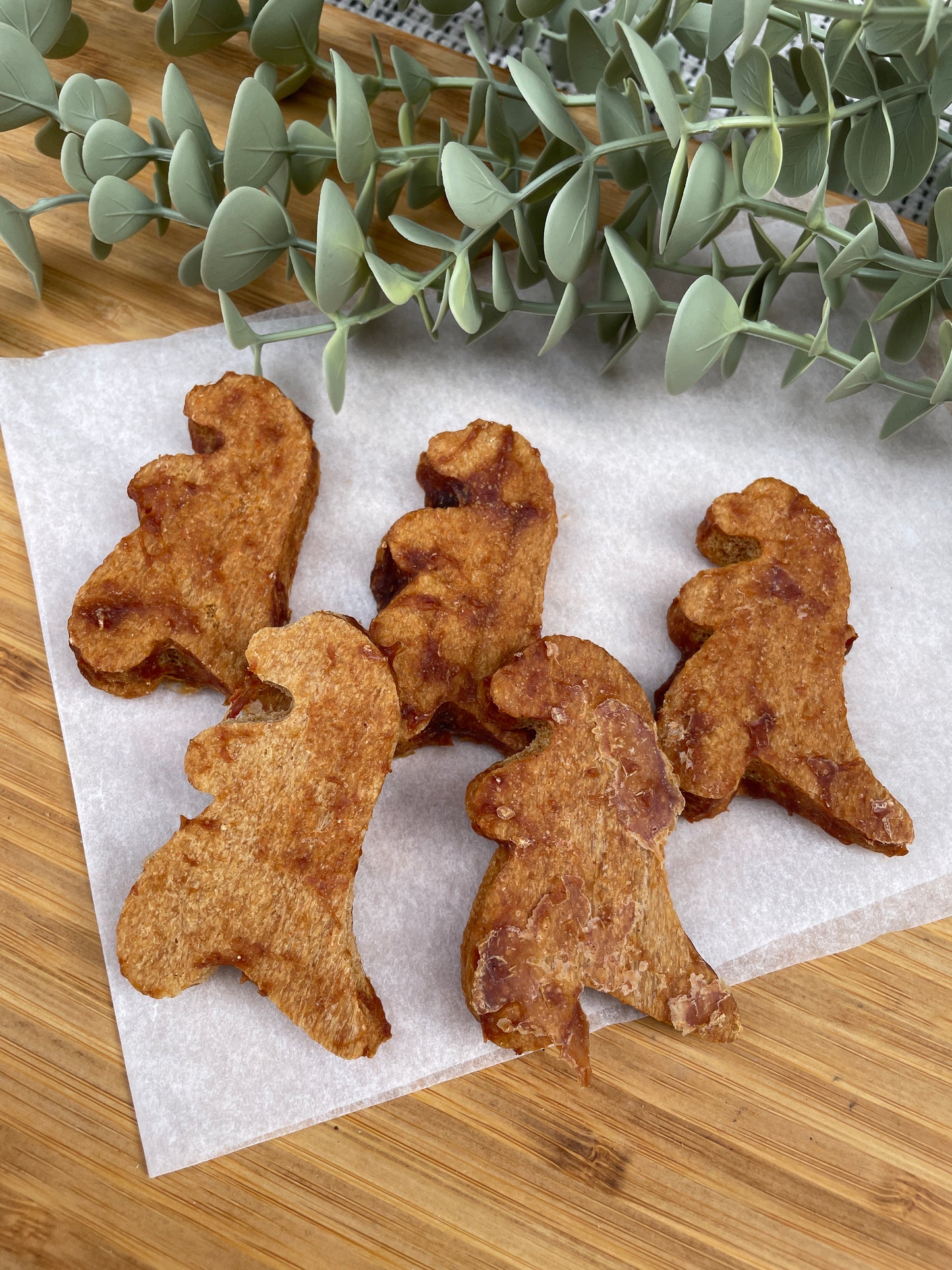 Chicken Dinosaurs