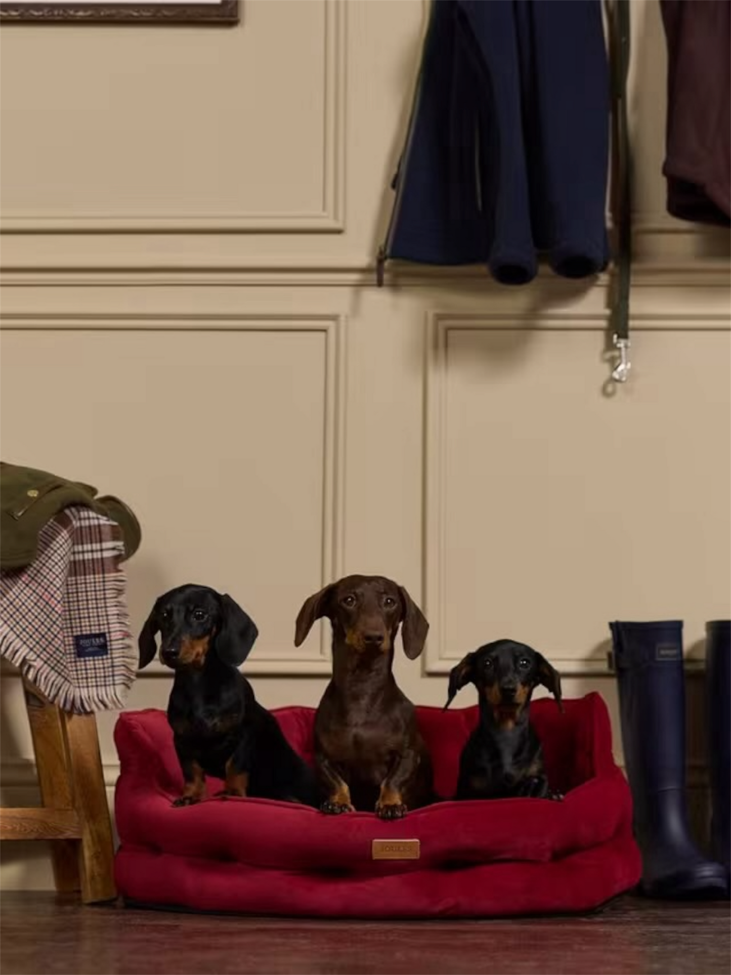 Joules Heritage Chesterfield Pet Bed – Burgundy