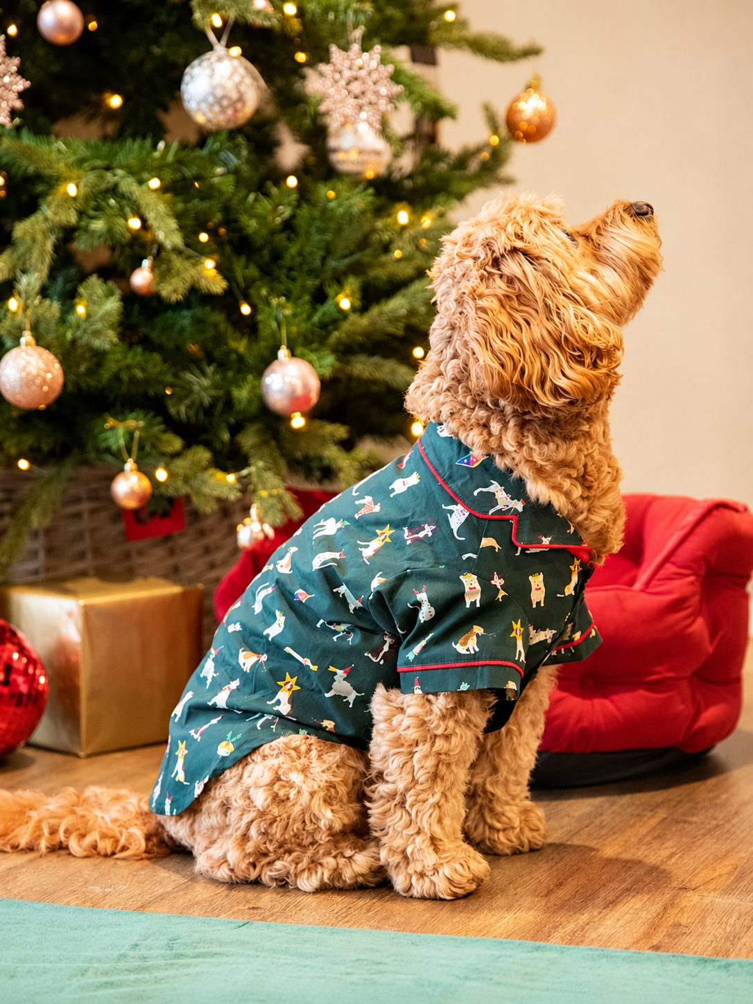 Joules Christmas Dog Pyjamas – Small, Medium & Large