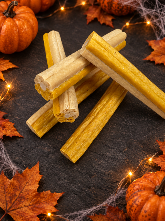 Pumpkin Dental & Digestive Sticks