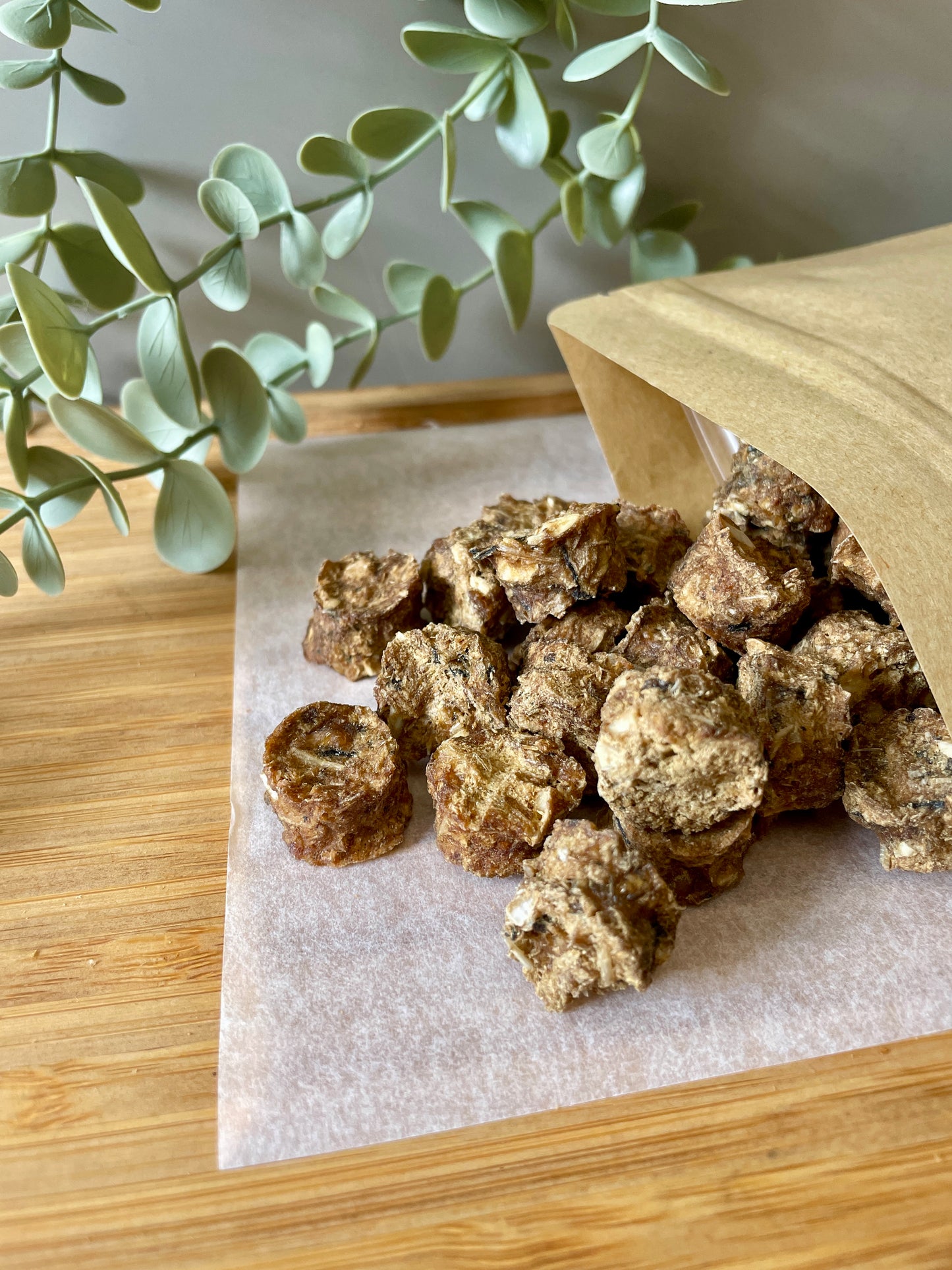 Salmon Medallions Training Treats