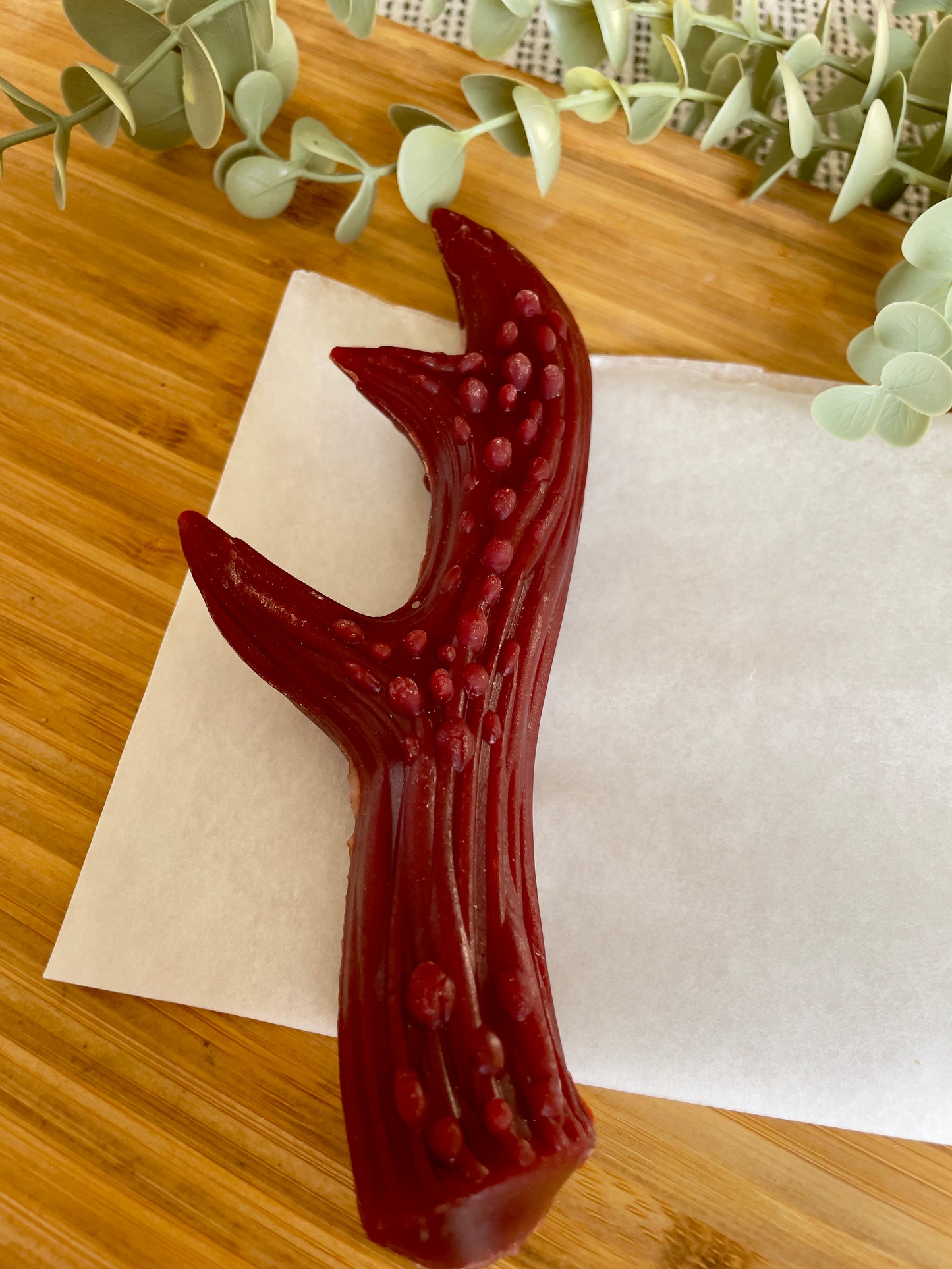 Vegetarian Antlers – Long-Lasting Vegan Chews for Large Dogs