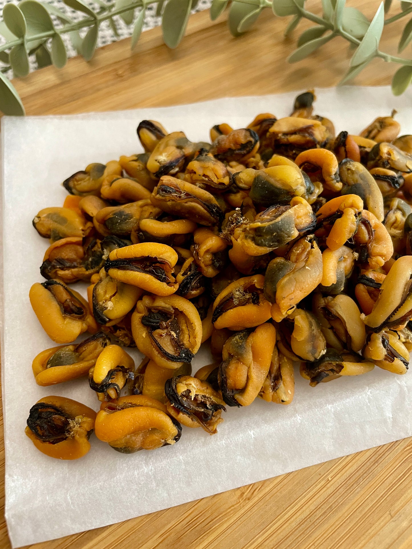 Green Lipped Mussels Dried– 100g.