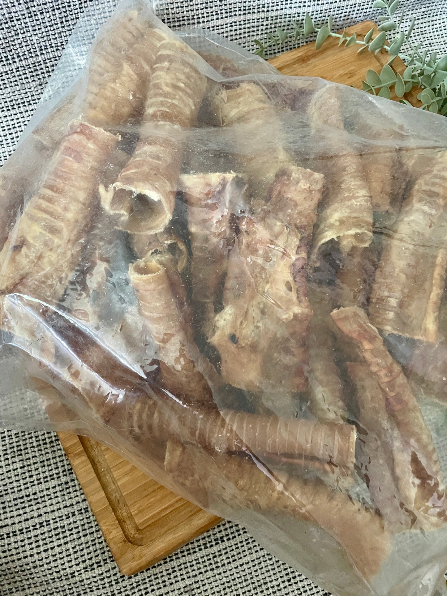 Buffalo Trachea