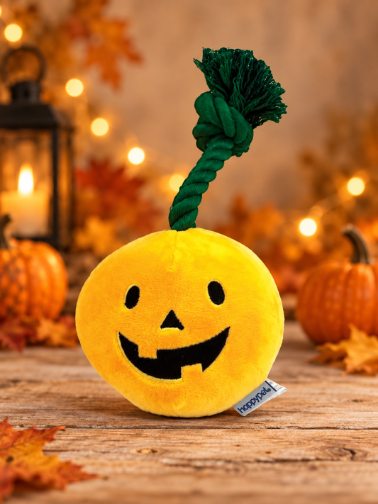 Happy Pet Halloween Pumpkin Rope Plush