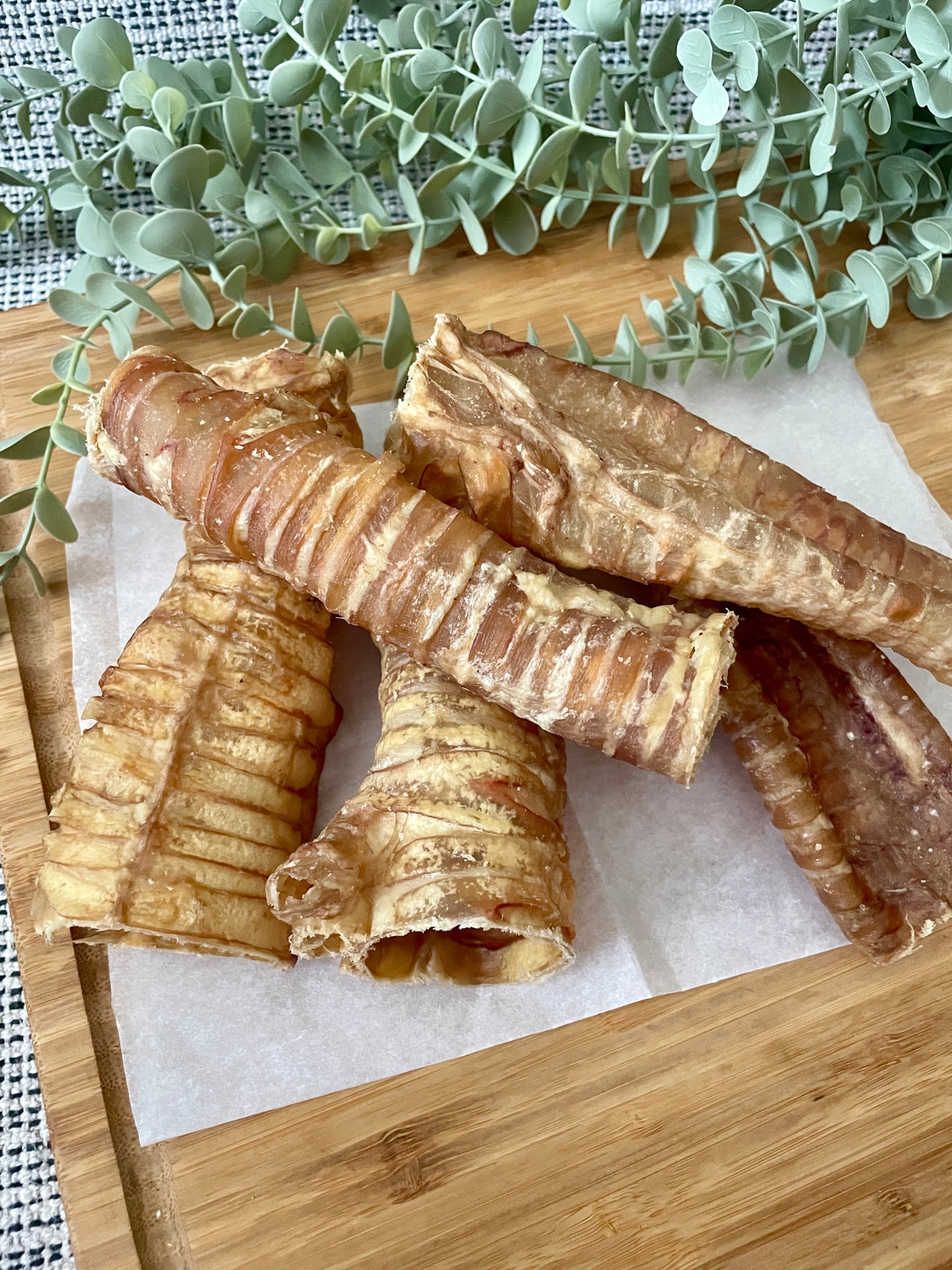 Buffalo Trachea