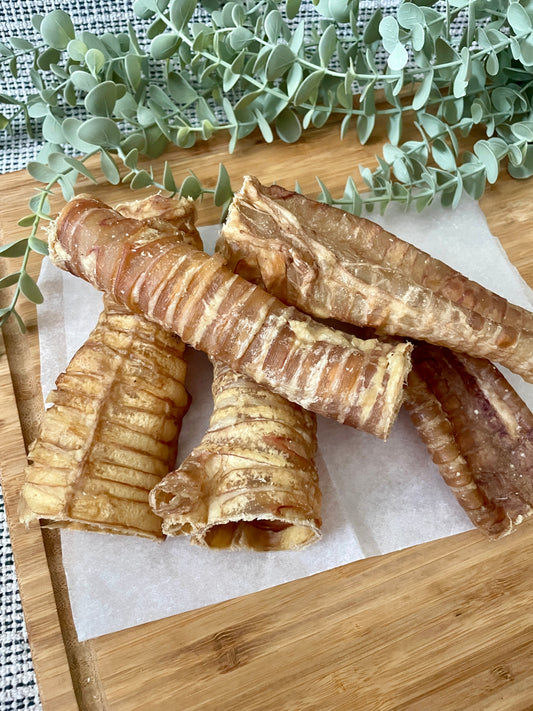 Buffalo Trachea