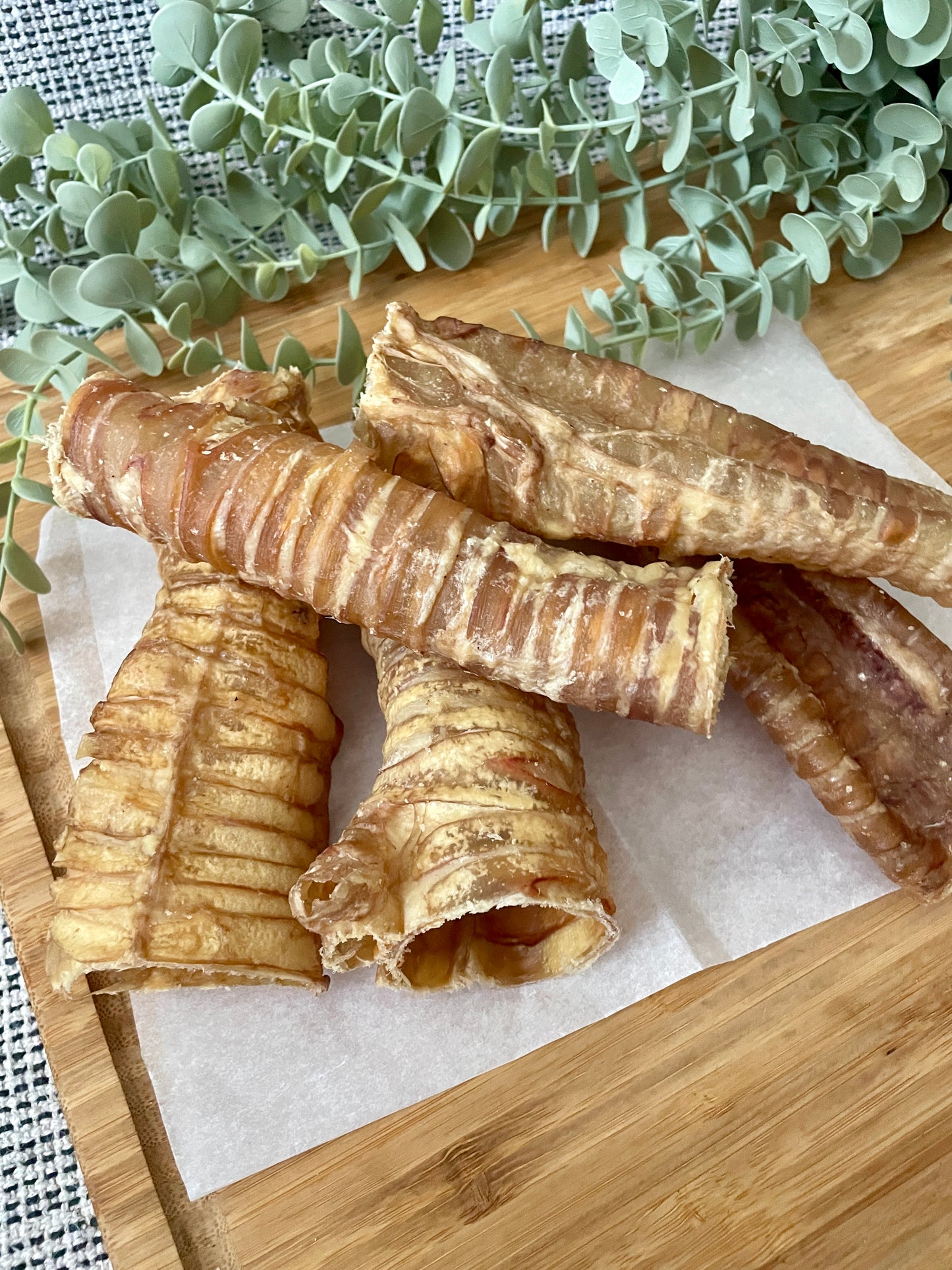 Buffalo Trachea