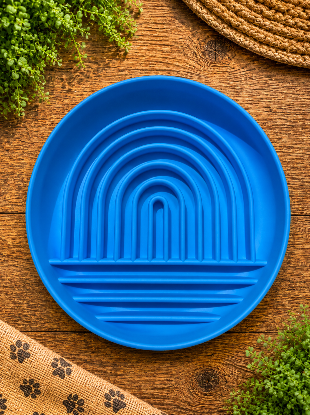 Rainbow Ridge Suction Enrichment Feeder for Dogs | Slow Feeder & Lick Mat | 9 Colours