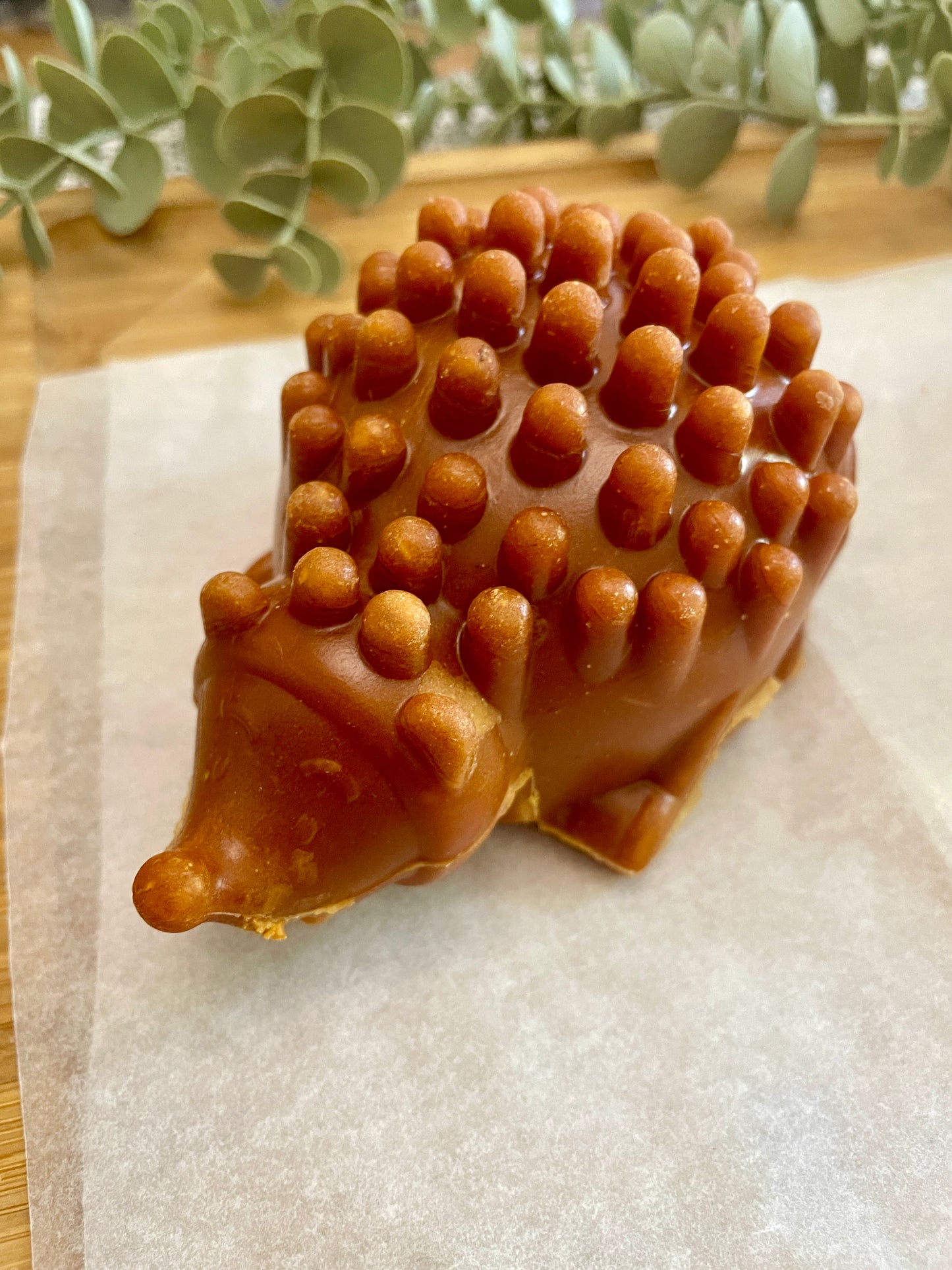 Large Hedgehog Veggie Chew (Gluten & Sugar Free)