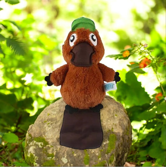 Phil the Groundhog