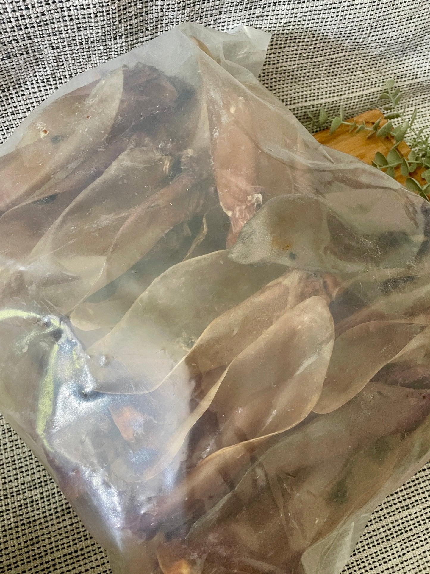Buffalo Ears with Meaty End