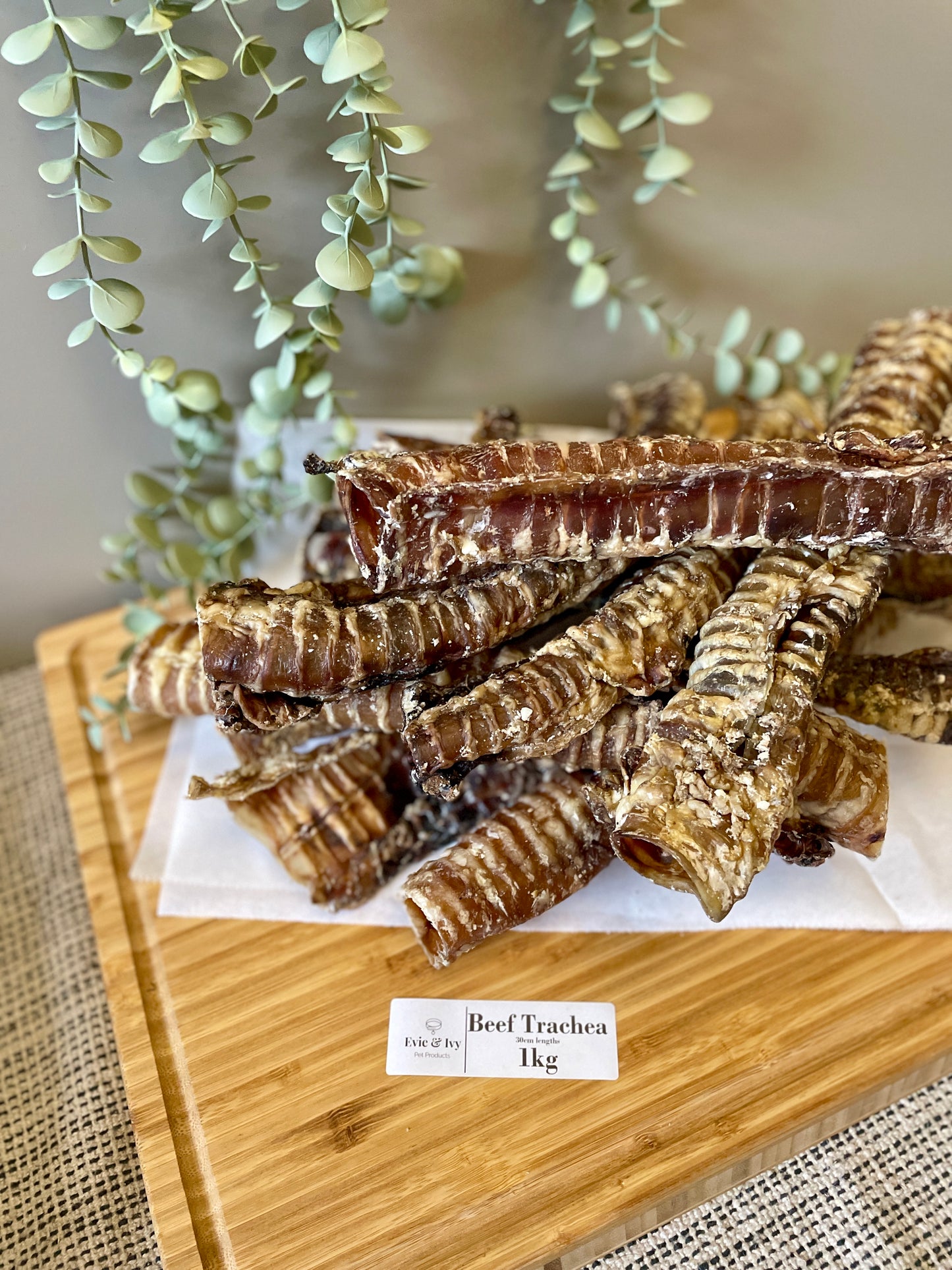 Beef Trachea 24cm Lengths Natural Dog Treats