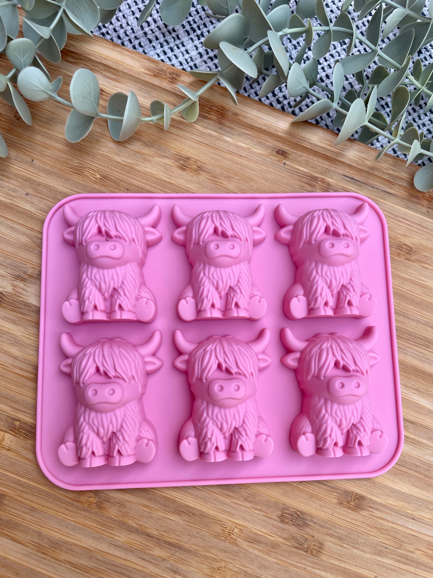 Highland Cow Enrichment Mould
