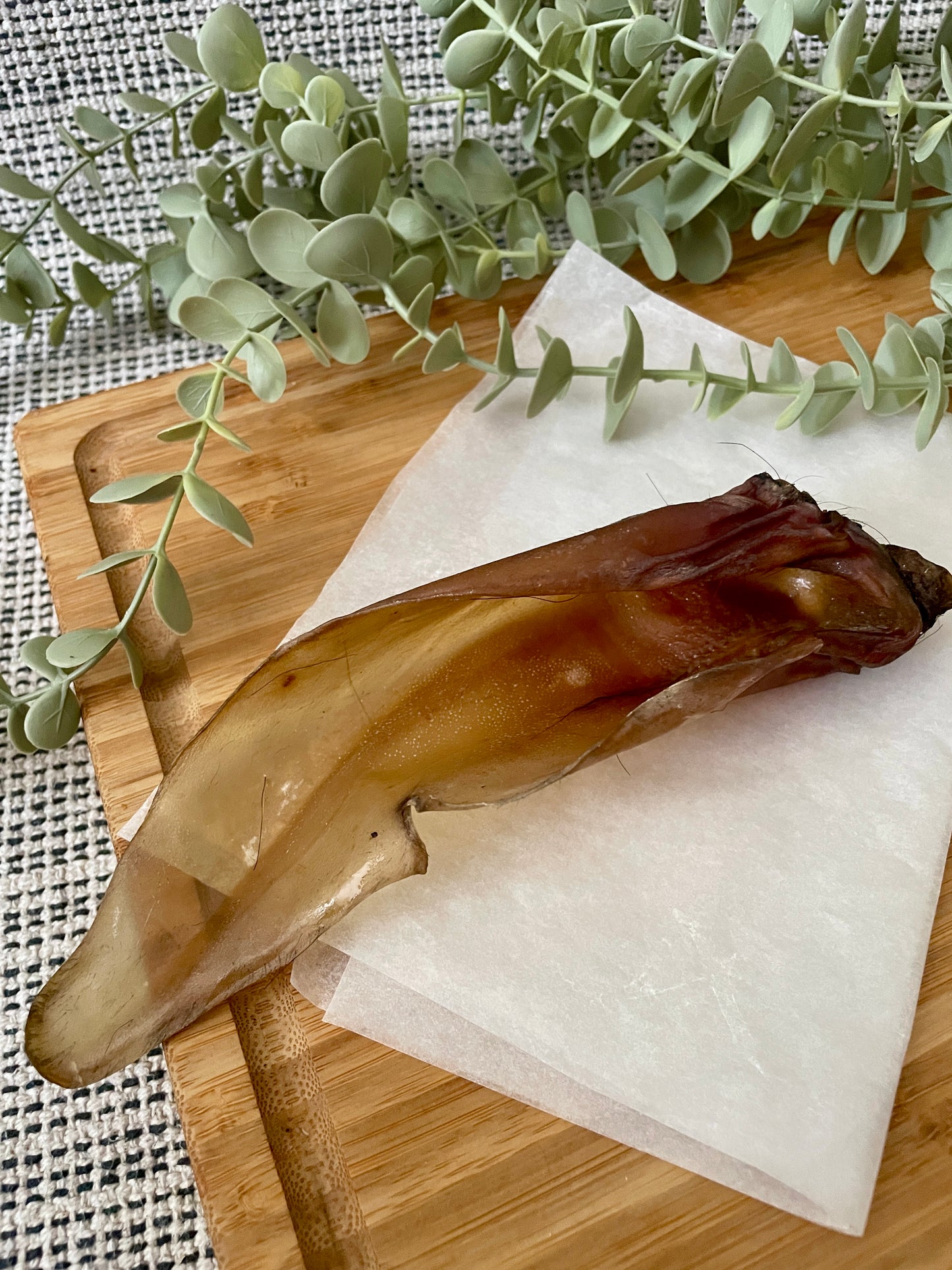 Buffalo Ears with Meaty End