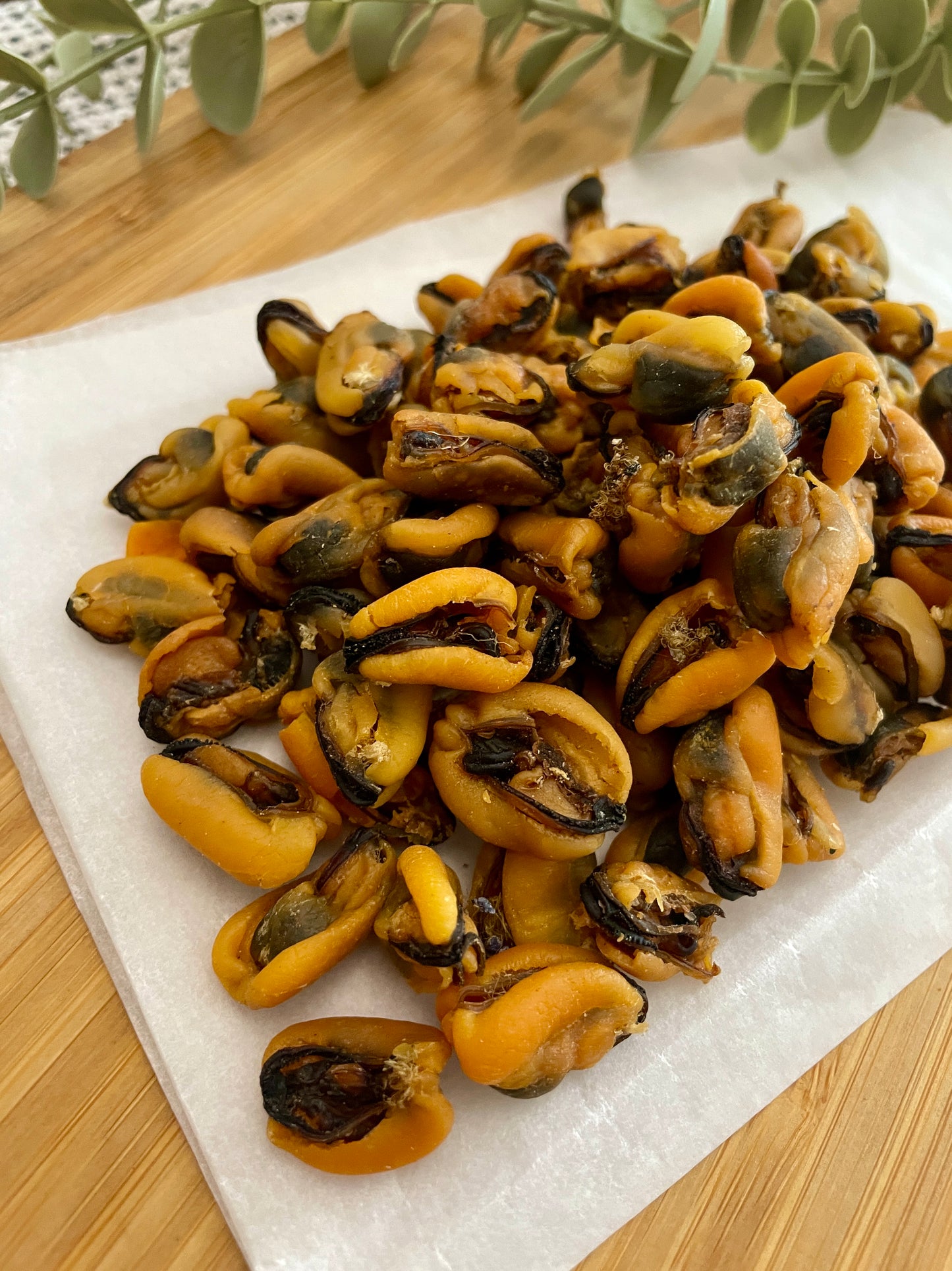 Green Lipped Mussels Dried– 100g.