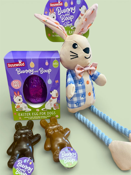 🐰🌸 Easter Bunny & Boop Bundle – Treats Egg+ Cute Ralphie Rabbit!
