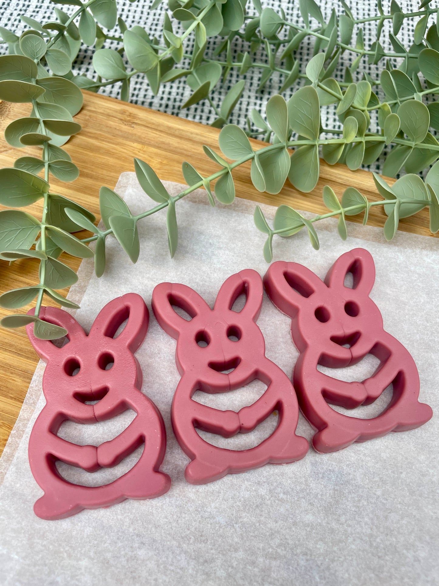 Chicken & Cranberry Pink Rabbit Dental Chew