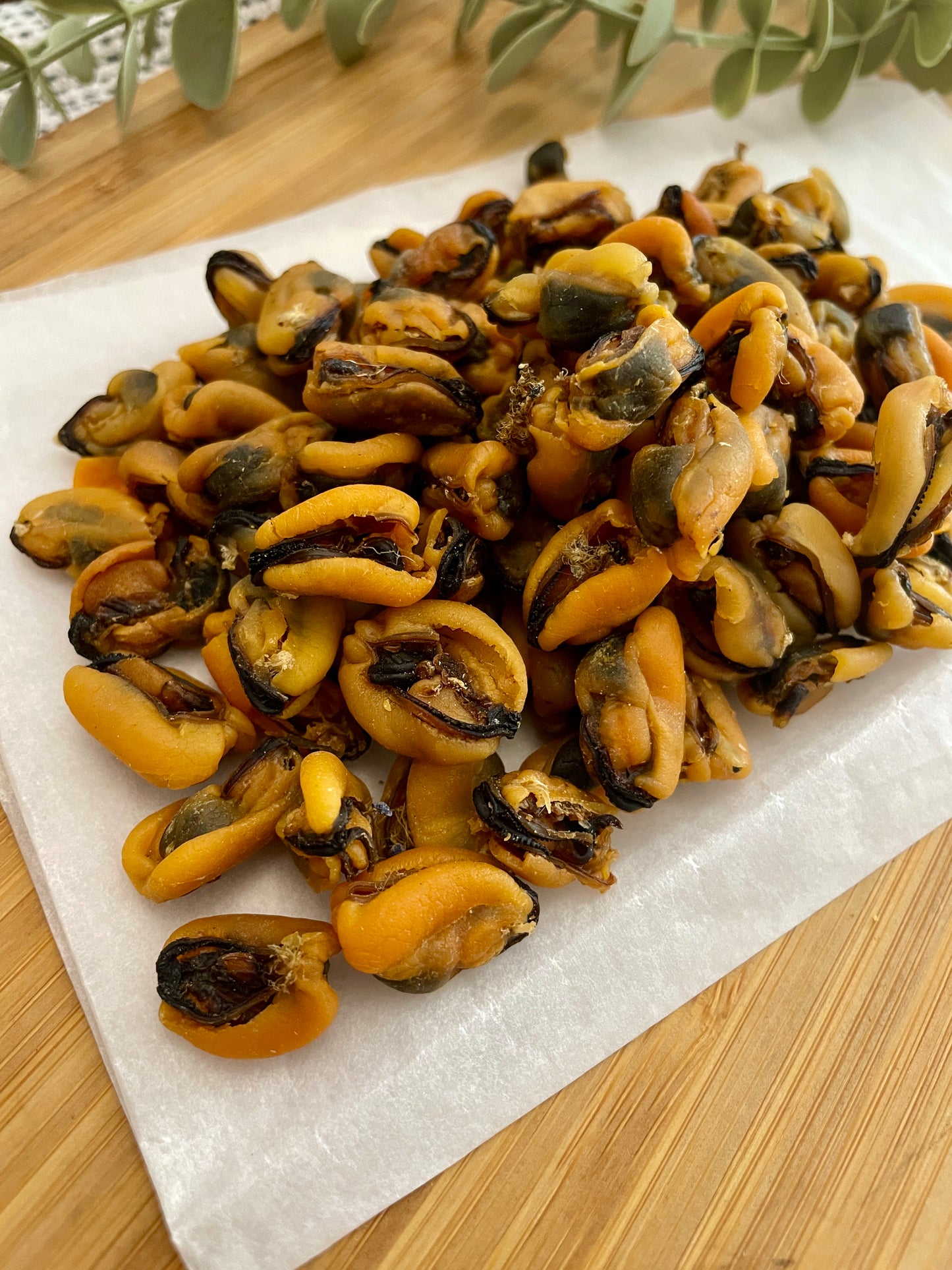 Green Lipped Mussels Dried– 100g.