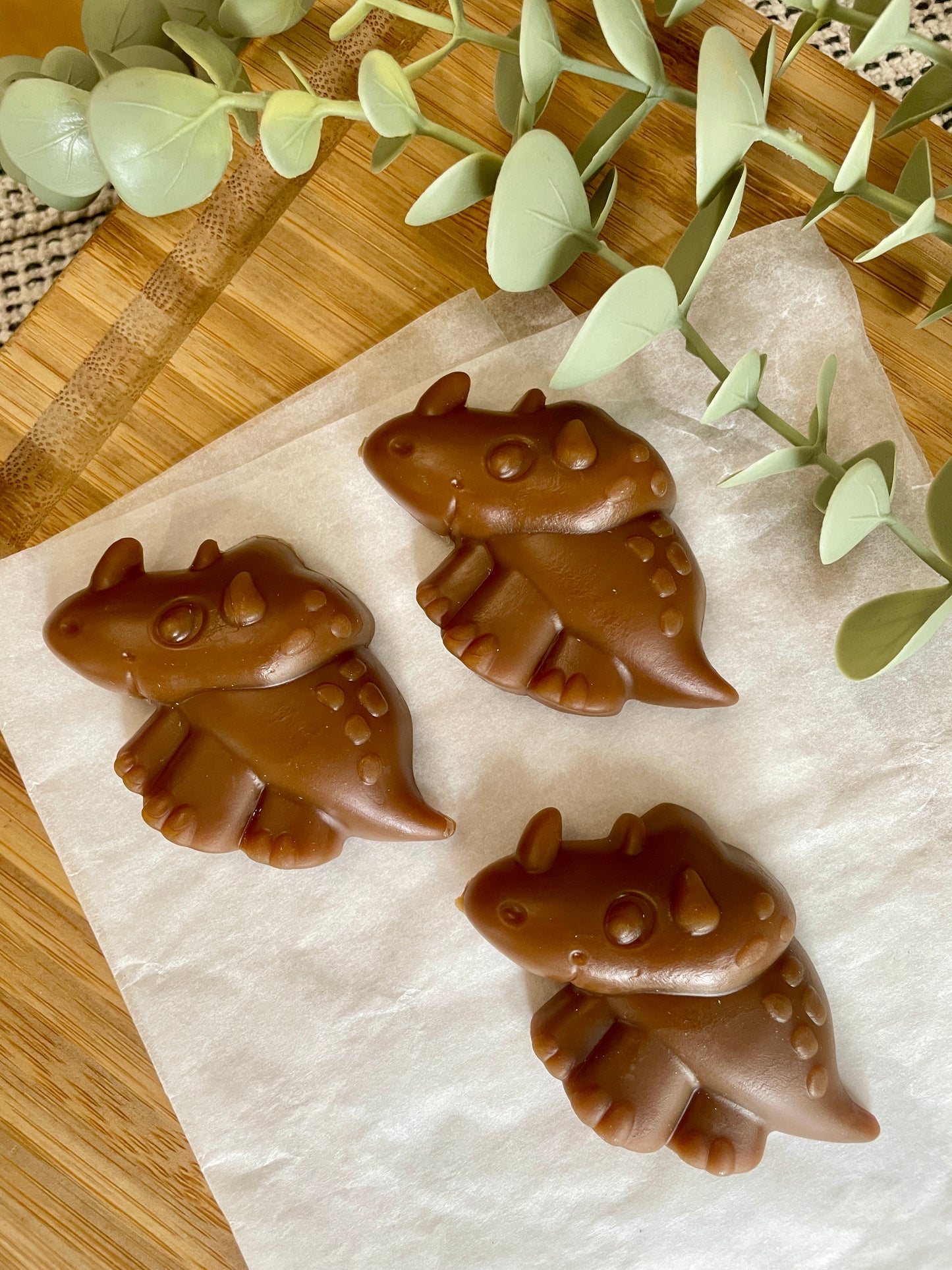Dinosaur Veggie Dental Chews for Dogs | Strawberry, Carob & Pumpkin